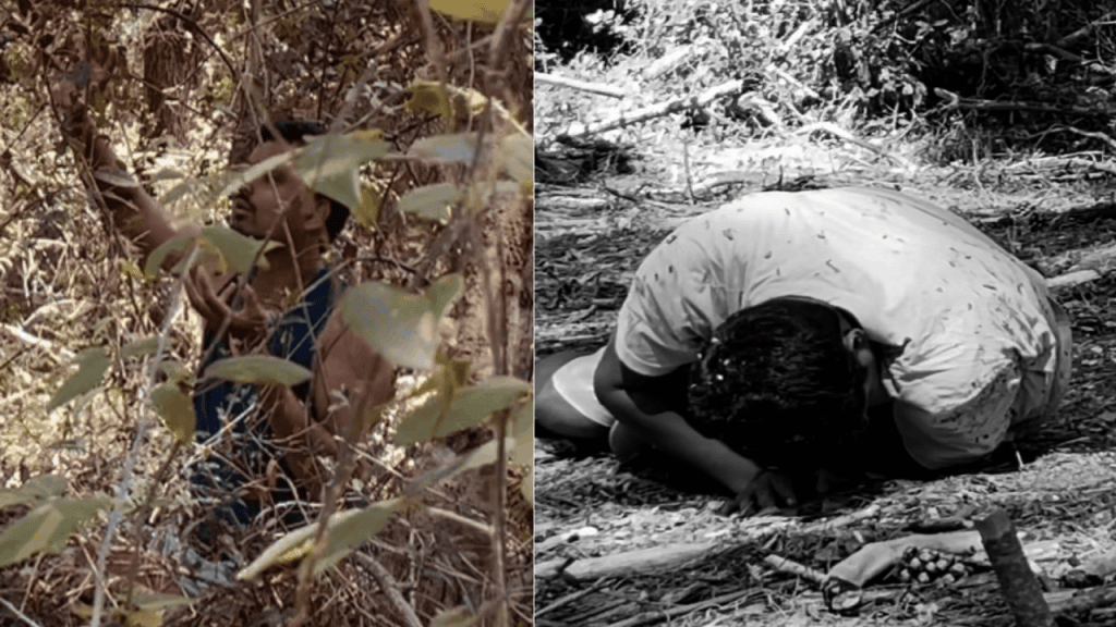 poster image of Embryonic