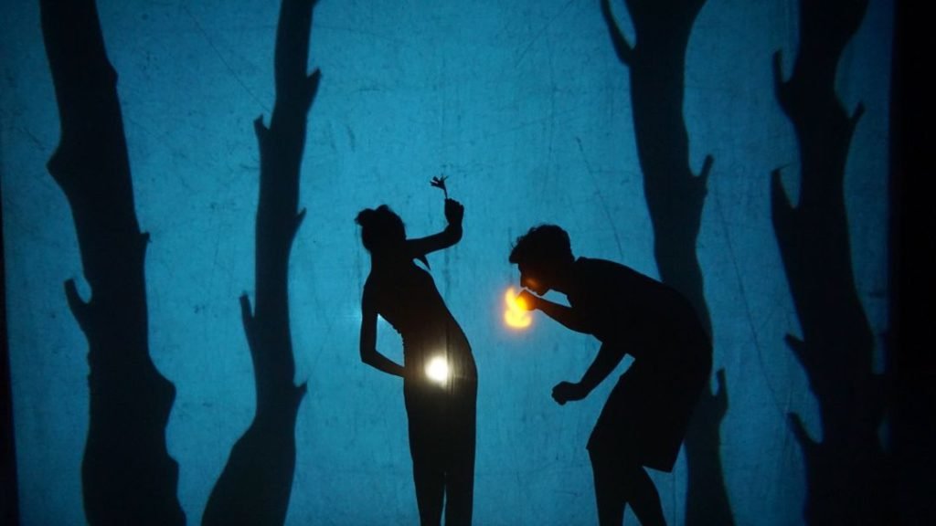 poster image of Shadow Liberation